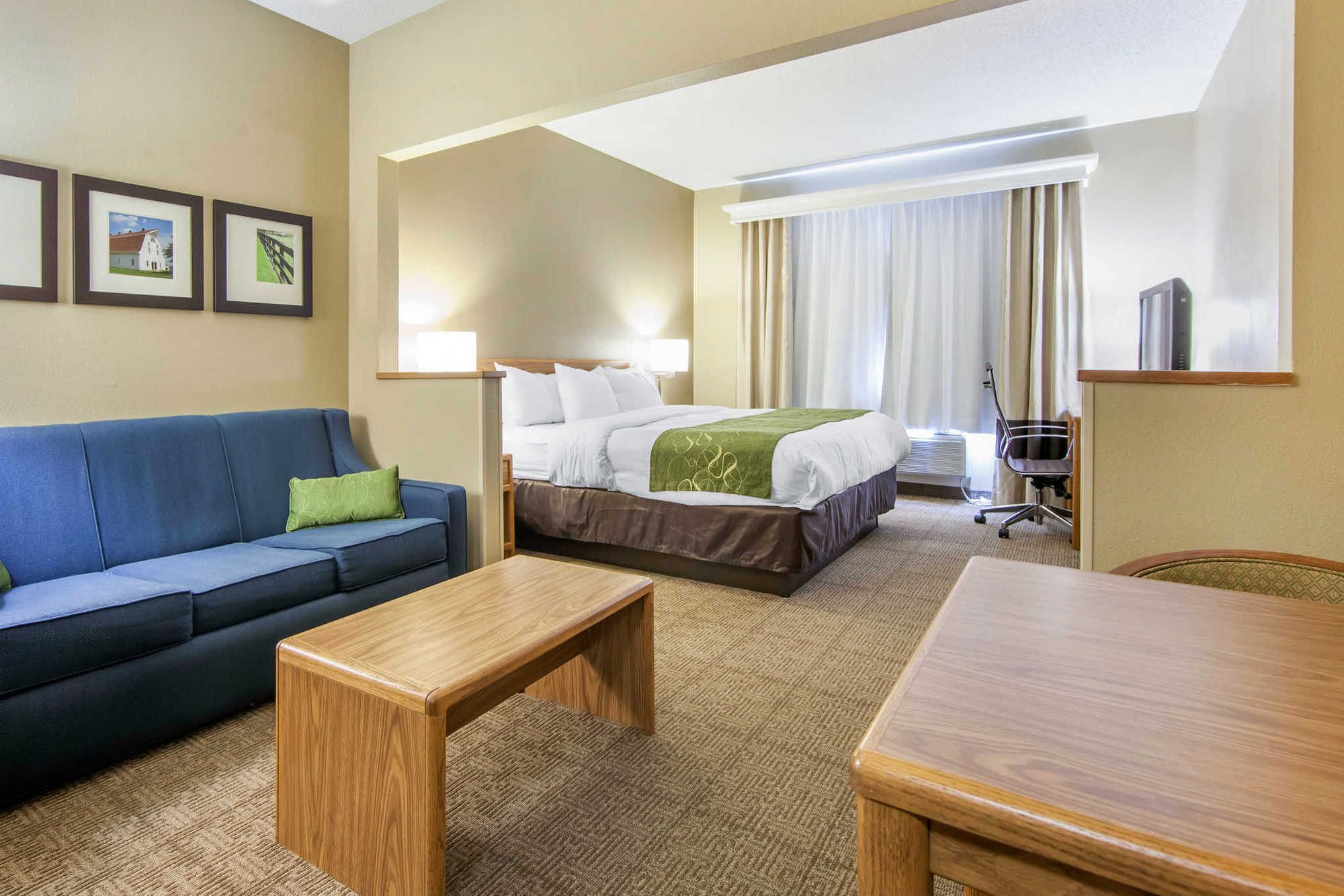 Comfort Suites Keeneland Lexington Habitación foto